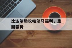 1xBit体育官方登录入口-比达尔助攻帕尔马福利，重回强势的简单介绍