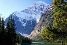 1xBit体育网页版-西雅图海湾者锋线组合默契，世俱杯争冠实力凸显的简单介绍